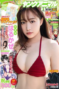 小妇人电影免费观看正版