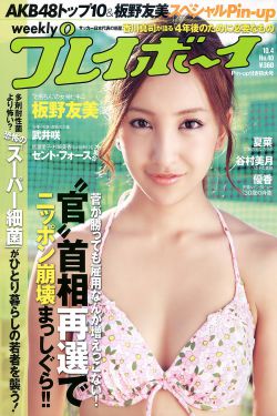 婚姻攻略电视剧全集